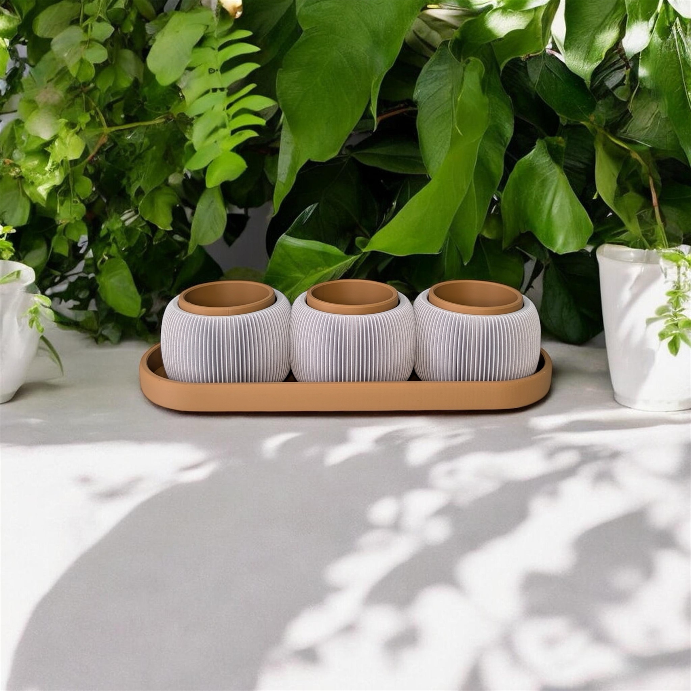 Nest Row - Image 3